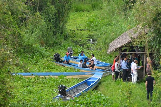 Mekong Delta Full Day Tour: Sampan Boat, Honey-bee Farms, Biking - Itinerary Overview