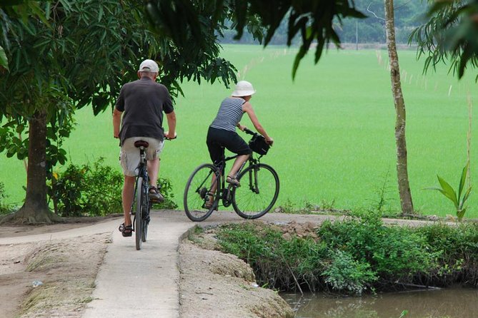 Mekong Delta Full Day Tour: Sampan Boat, Honey-bee Farms, Biking - The Sum Up