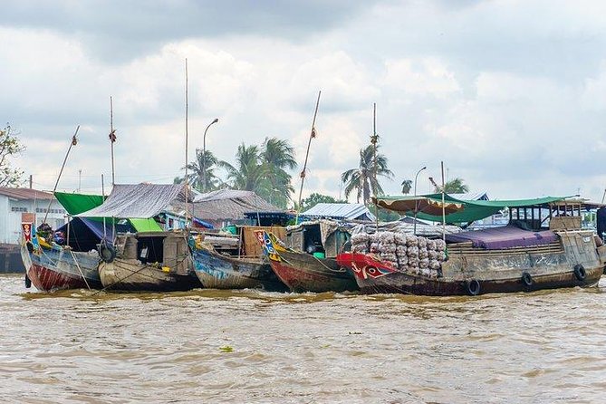 MEKONG DELTA MY THO & BEN TRE COCONUT VILLAGE FROM SAI GON Port - Tour Pricing and Booking