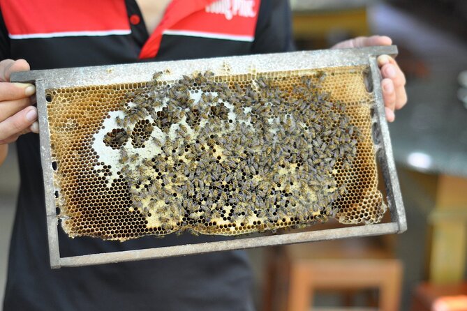 MEKONG DELTA MY THO & BEN TRE COCONUT VILLAGE FROM SAI GON Port - Common Questions