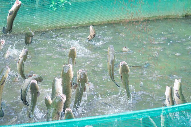 Mekong Delta on Two Wheels 4 Day Cycling Discovery - Day-by-Day Breakdown