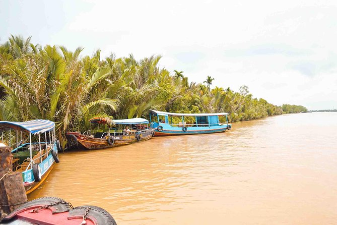 Mekong Delta One Day Tour - Questions and Help