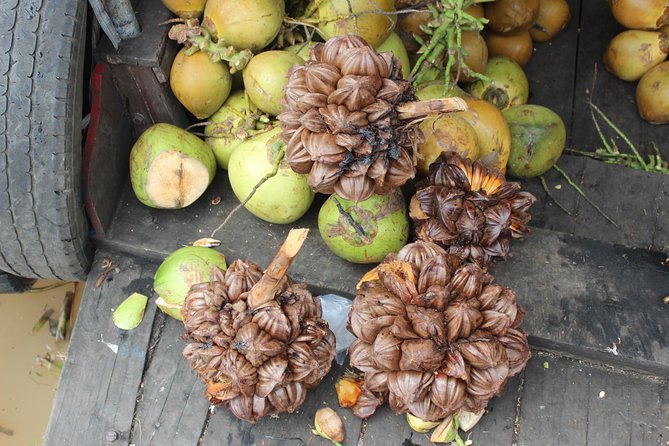 Mekong Delta Private Full-Day Tour  - Ho Chi Minh City - Tour Activities