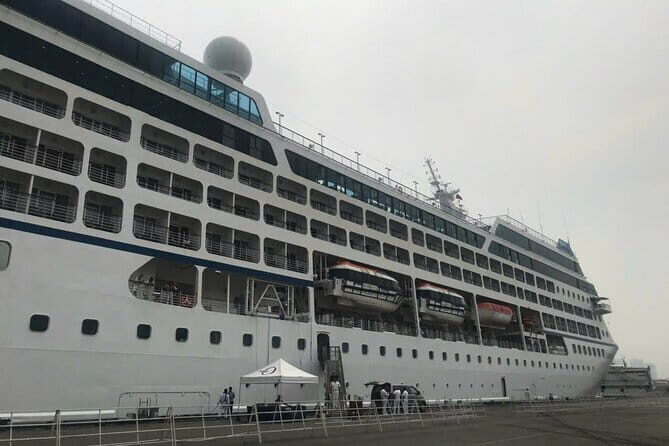 MEKONG DELTA SHORE EXCURSION from Cruise Port - Visiting the Bee Farm & Island