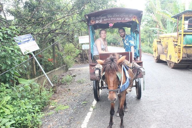 Mekong Delta Tour 1 Day Private Car From Port - Overview of the Tour