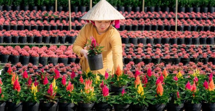 Mekong Delta Tour 2-Day (SaDec – Can Tho - My Tho - Ben Tre) - Highlights of the Tour
