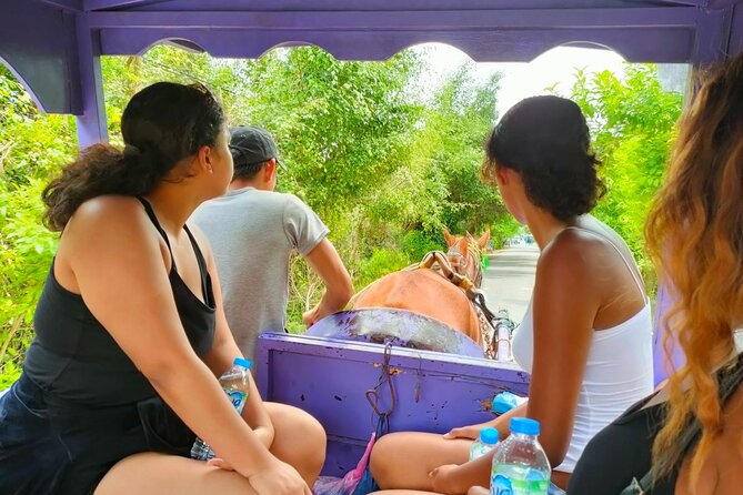 Mekong Delta Tour Daily - Selecting Date and Travelers