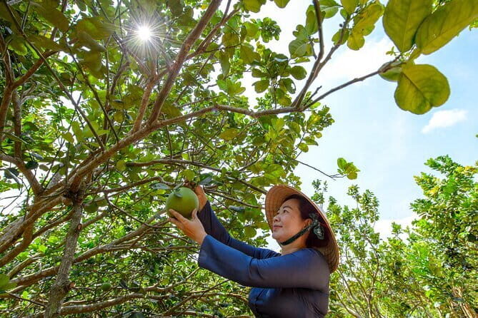 Mekong Delta Tour with Kayaking, Cycling and Cooking - Experience the Mekong Delta: A Practical, Authentic Day Out