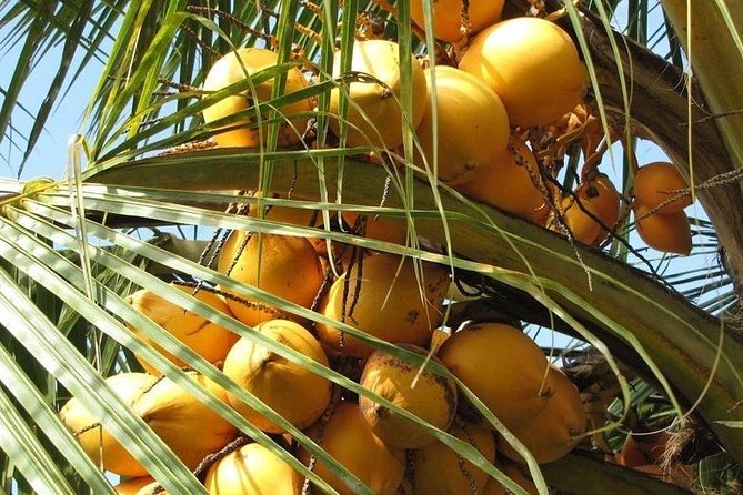 Mekong Delta Visiting My Tho Full Day by Bus - Recommended Travelers and Group Size