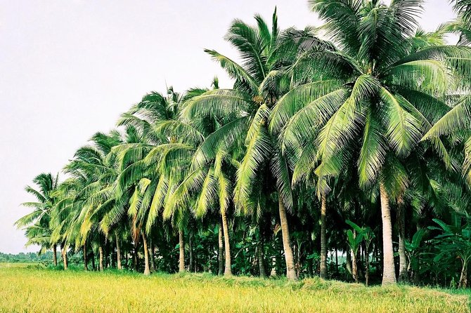 Mekong Delta With Floating Market 2 Days - Date and Travelers