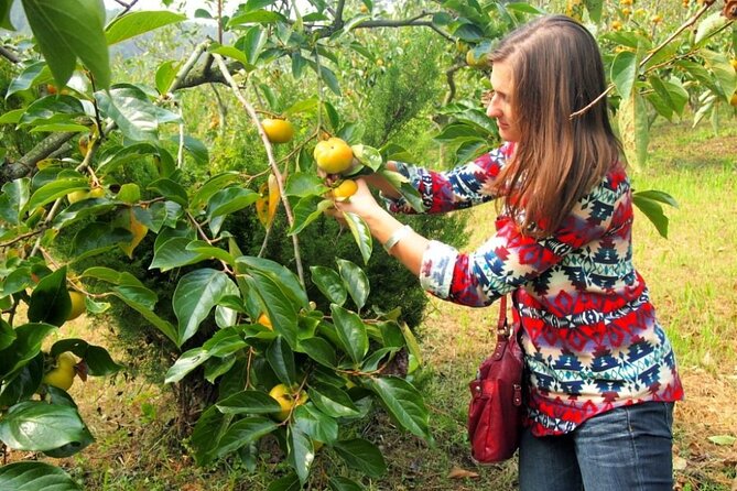 Mekong Delta,Floating Market 2 Days/ 1 Night Tour - Pricing Details