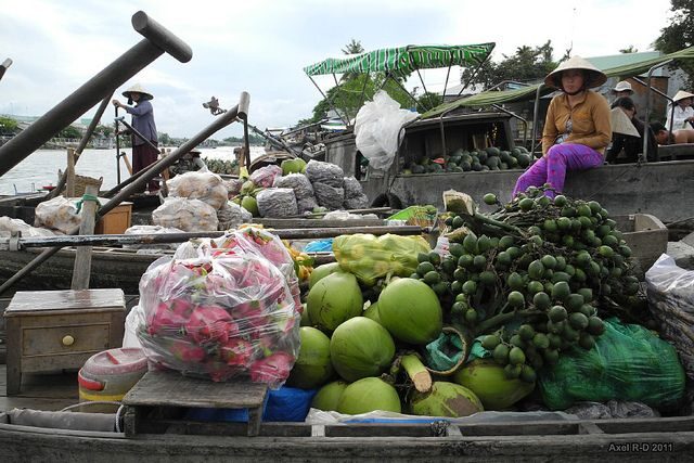Mekong tour: Cai Be - Can Tho Floating Market 2 days - A Deep Dive into the Mekong Experience