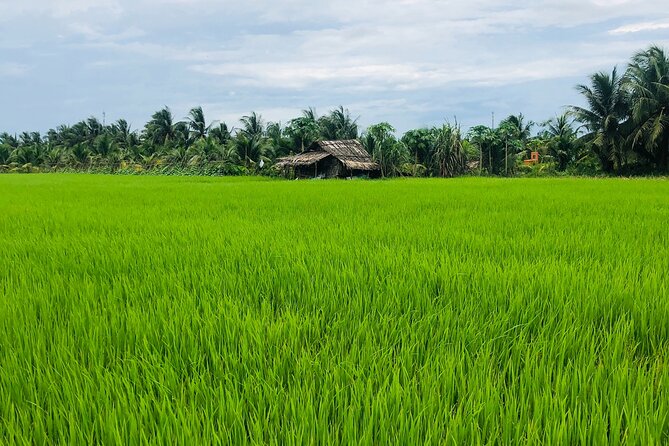 Mekong With Biking Private Tour - Weather Requirements for the Tour