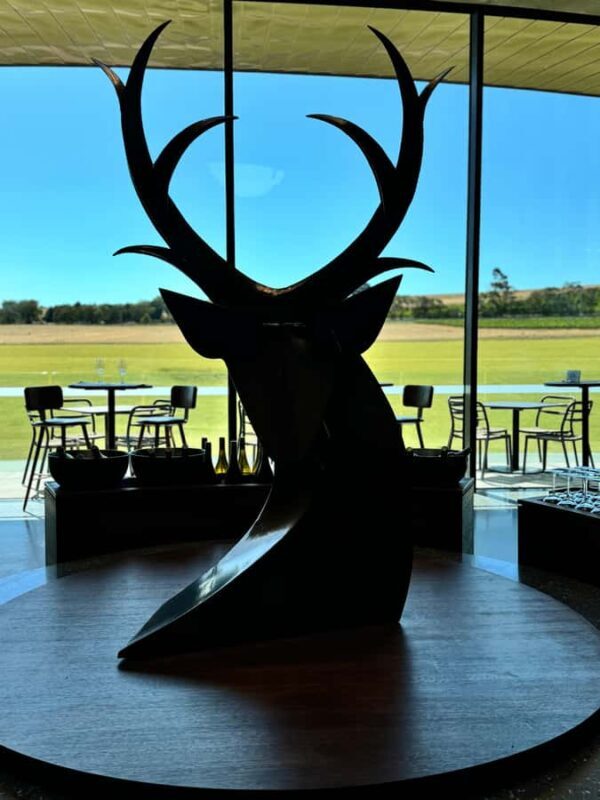 MEL: Private Yarra Valley Wine & Healesville Sanctuary Tours - Exploring the Yarra Valley: More Than Just Wine