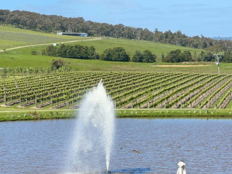 MEL: Private Yarra Valley Wine & Healesville Sanctuary Tours - Why This Tour Works Well