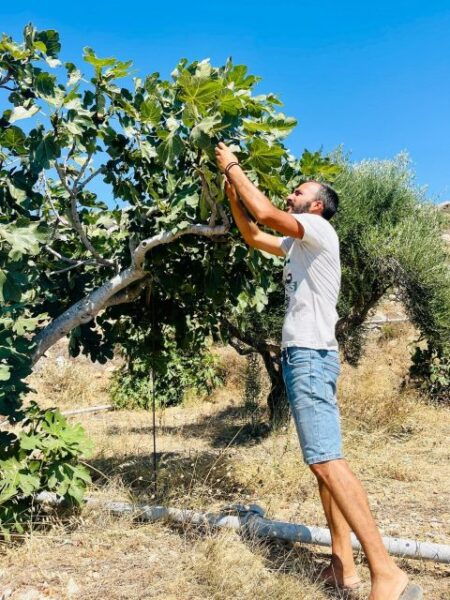 Melanes: Naxos Perivoli Farm & Cooking Class With Wood Fire - Frequently Asked Questions