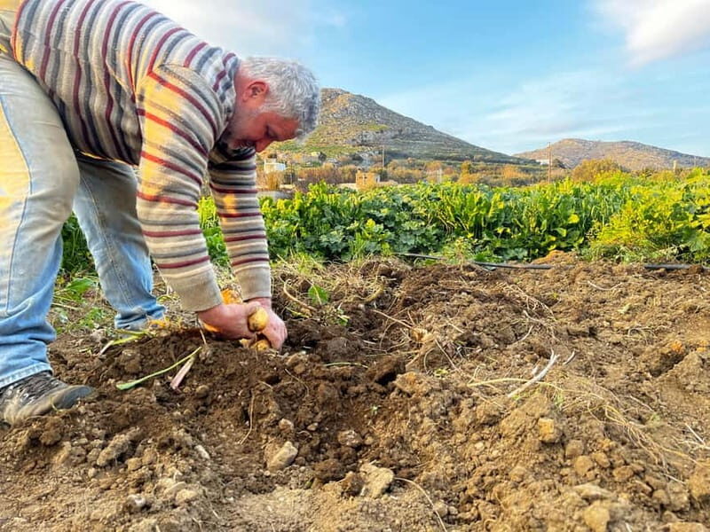 Melanes Tour: Village Highlights & Garden-to-Table Meal - Good To Know