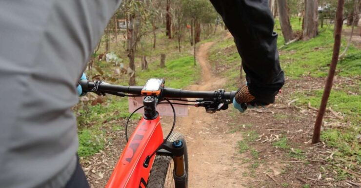 Melbourne: 1-Day Mountain Biking Adventure With Lunch - Experience Highlights