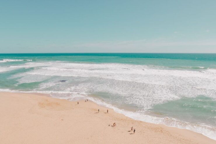 Melbourne: 12 Apostles, Great Otways and Great Ocean Road - Tour Overview