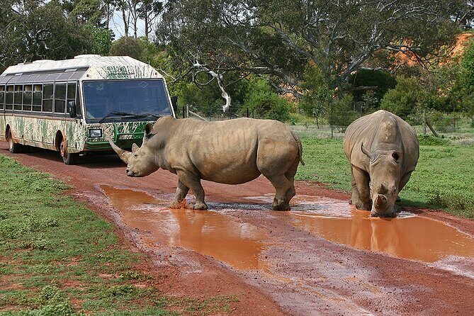 Melbourne 2 or 3 Day Unlimited Pass - FAQ