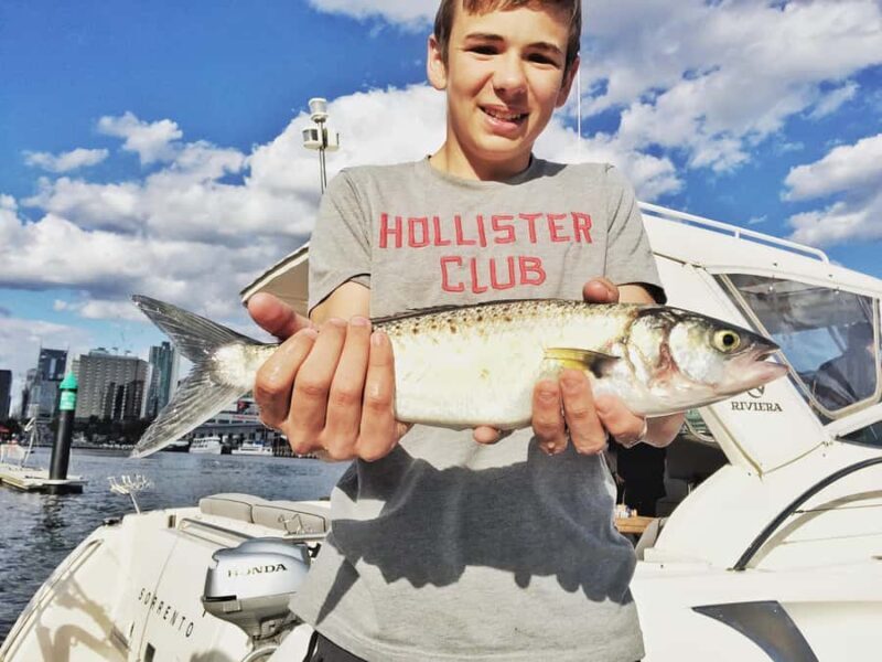 Melbourne: A Private Day Tour on a Sports Yacht on the Bay - Setting Sail on a Luxurious Sports Yacht