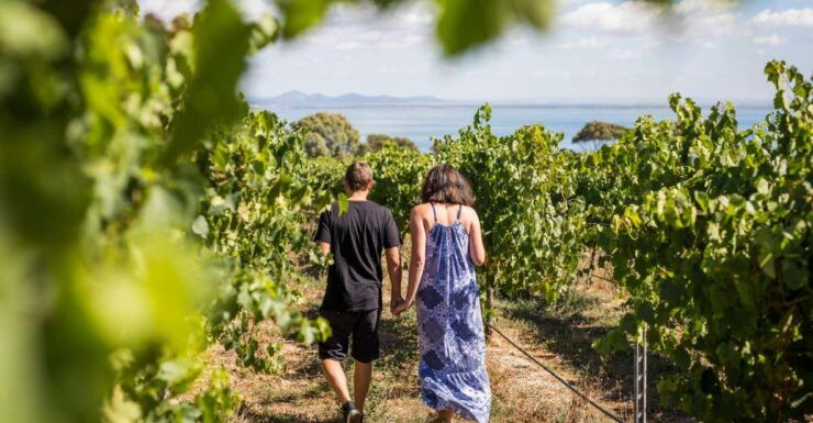 Melbourne: Around the Bay Food & Wine Taste Trail - Booking and Logistics
