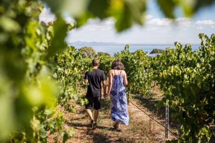 Melbourne: Around the Bay Food & Wine Taste Trail - Experience and Activities