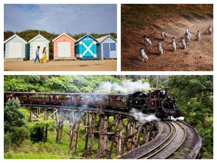 Melbourne: Brighton Boxes, Puffing Billy, and Penguin Parade - Activity Details