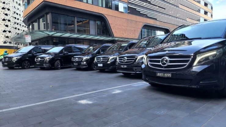 Melbourne City and Surrounding Sightseeing Tour - Tour Overview