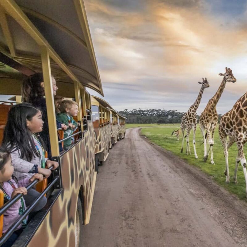 Melbourne City Card - 3 Days - Highlights of the Melbourne City Card Experience