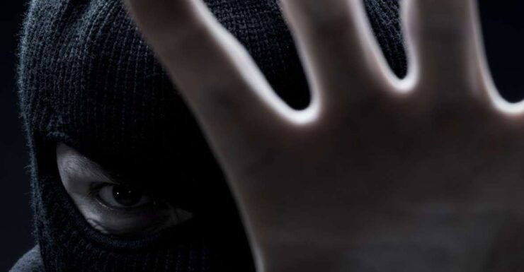 Melbourne: City Highlights Guided Walking Crime Tour - Good To Know