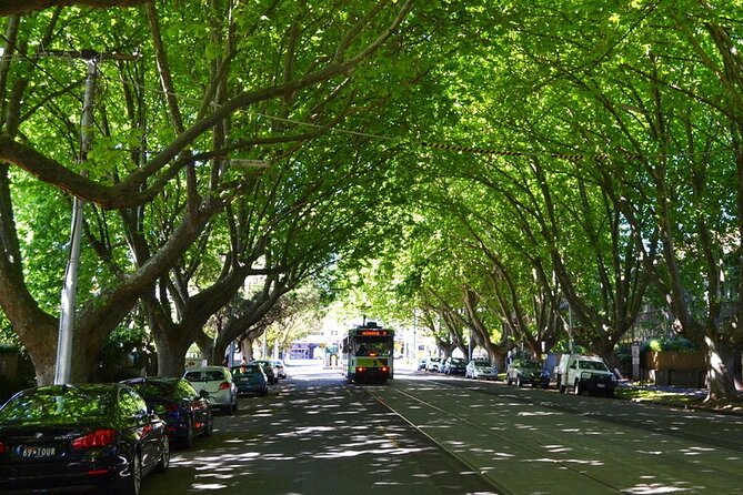 Melbourne Drive by Day Tour - The Sum Up