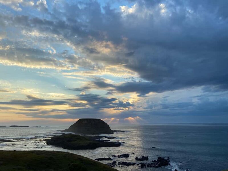 Melbourne Essentials: City, Penguins and Great Ocean Road - Good To Know