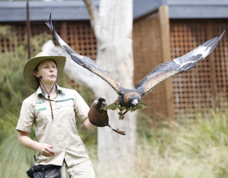 Melbourne: Flexi Pass - Pick 3, 5 or 7 Experiences - Final Words