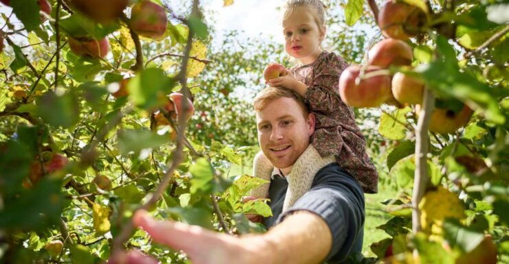 Melbourne: Fruit-Picking & Puffing Billy Tour in Chinese - Cancellation and Payment Policy
