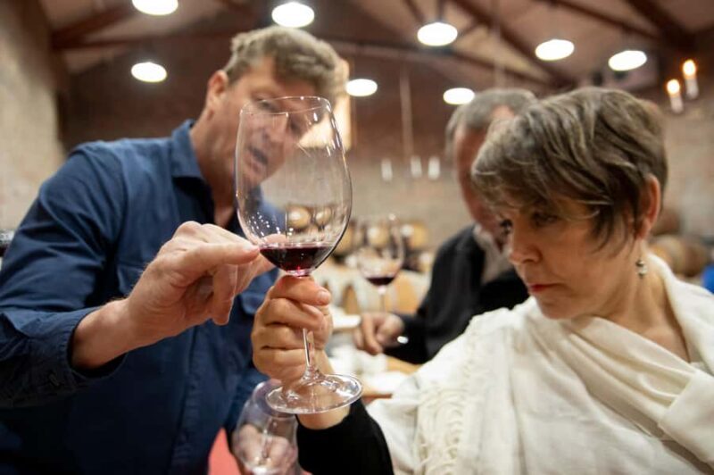 Melbourne: Full-Day Winemaker-Led Wine Tasting Tour - Authentic Experiences and Testimonials