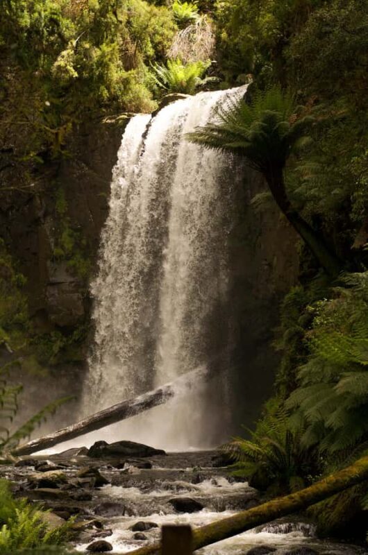 Melbourne: Great Ocean Road Limo Tour with Hotel Pickup - Good To Know