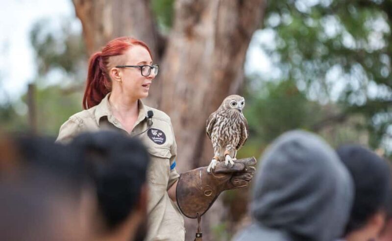 Melbourne: Great Ocean Road, Penguin Parade & Free City Tour - Day 3: Melbourne City Discovery (Free Day)