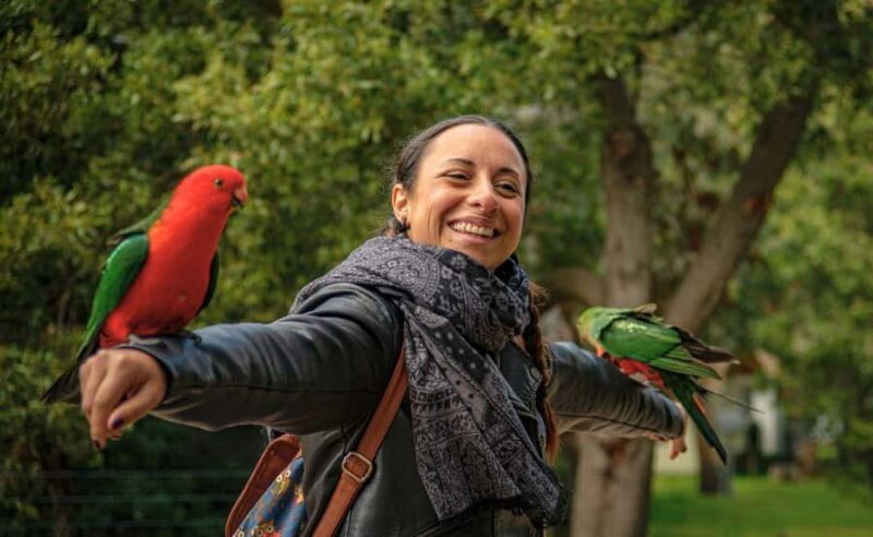 Melbourne: Great Ocean Road, Penguin Parade & Free City Tour - Frequently Asked Questions