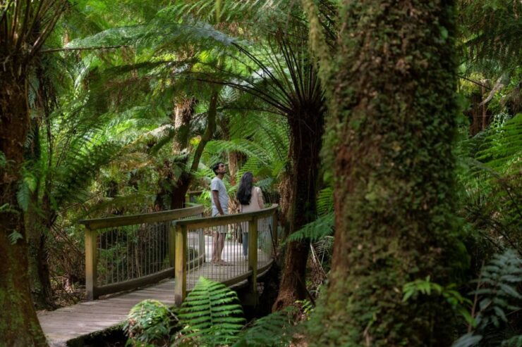 Melbourne: Great Ocean Road & Rainforest Trip - Booking Information