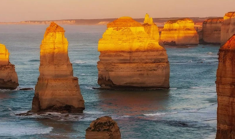 Melbourne Great Ocean Road & Twelve Apostles Full-Day Tour - Wildlife stops can add a welcome surprise