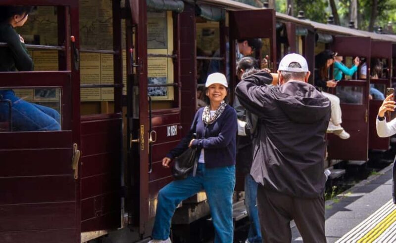 Melbourne: Half-Day Puffing Billy Steam Train Experience - Additional Tour Options and Value