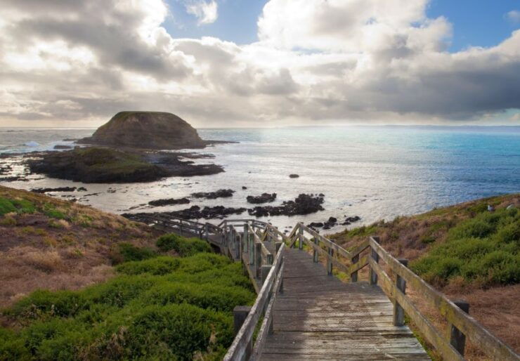 Melbourne: Healesville Sanctuary & Phillip Island Tour - Tour Details