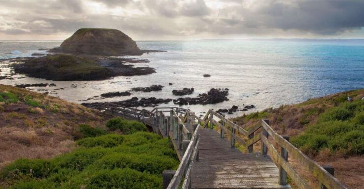 Melbourne: Healesville Sanctuary & Phillip Island Tour - Tour Highlights