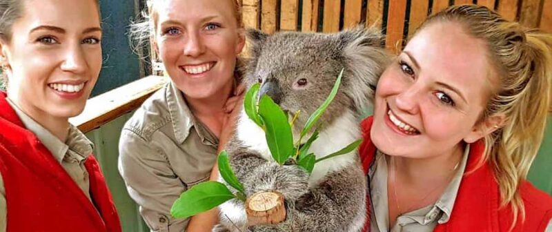 Melbourne Highlights & Aussie Wildlife Express Tour - Authentic Experiences and What Sets It Apart