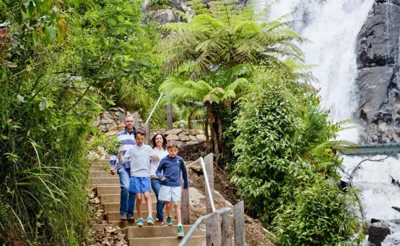 Melbourne: Lake Mountain Snow, Waterfall & Chocolaterie Tour - Final Thoughts