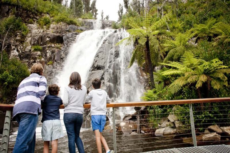 Melbourne: Lake Mountain Snow & Waterfalls Guided Tour - Pricing and Value