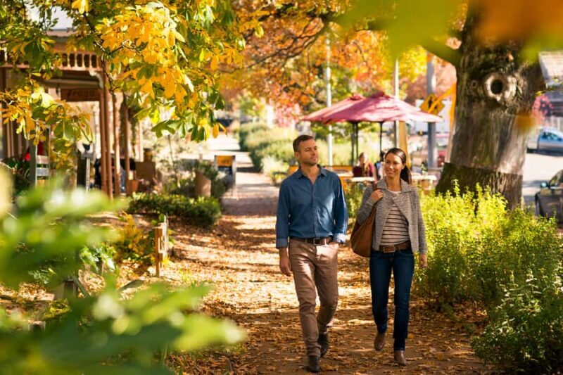 Melbourne: Lake Mountain Snow & Waterfalls Guided Tour - Who Is This Tour Best For?