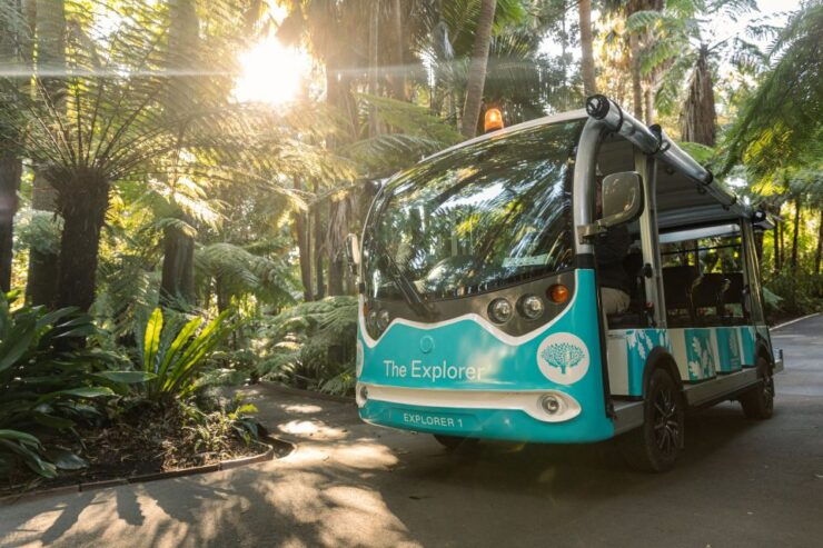 Melbourne: Melbourne Gardens Explorer Minibus Tour - Exploration Experience