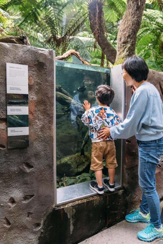 Melbourne: Melbourne Museum Entry Ticket - Final Thoughts: Is the Melbourne Museum Right for You?